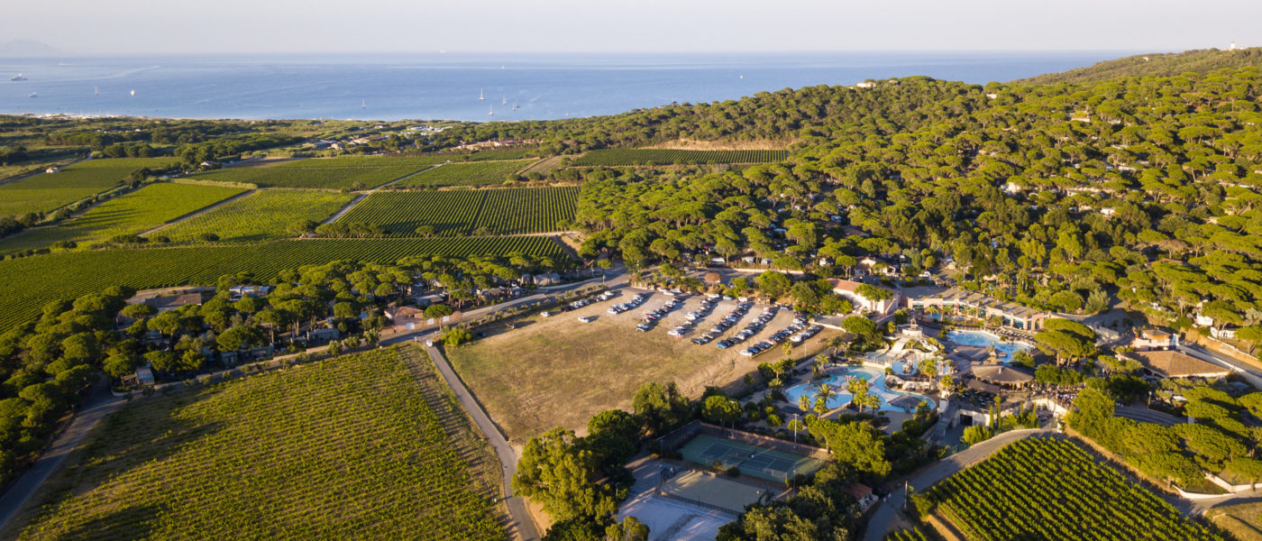 Domaine-des-Tournels-vignoble-vue-generale-pano