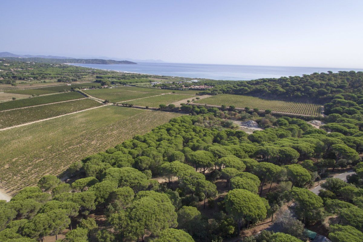 Domaine-des-Tournels-vue-aerienne-028